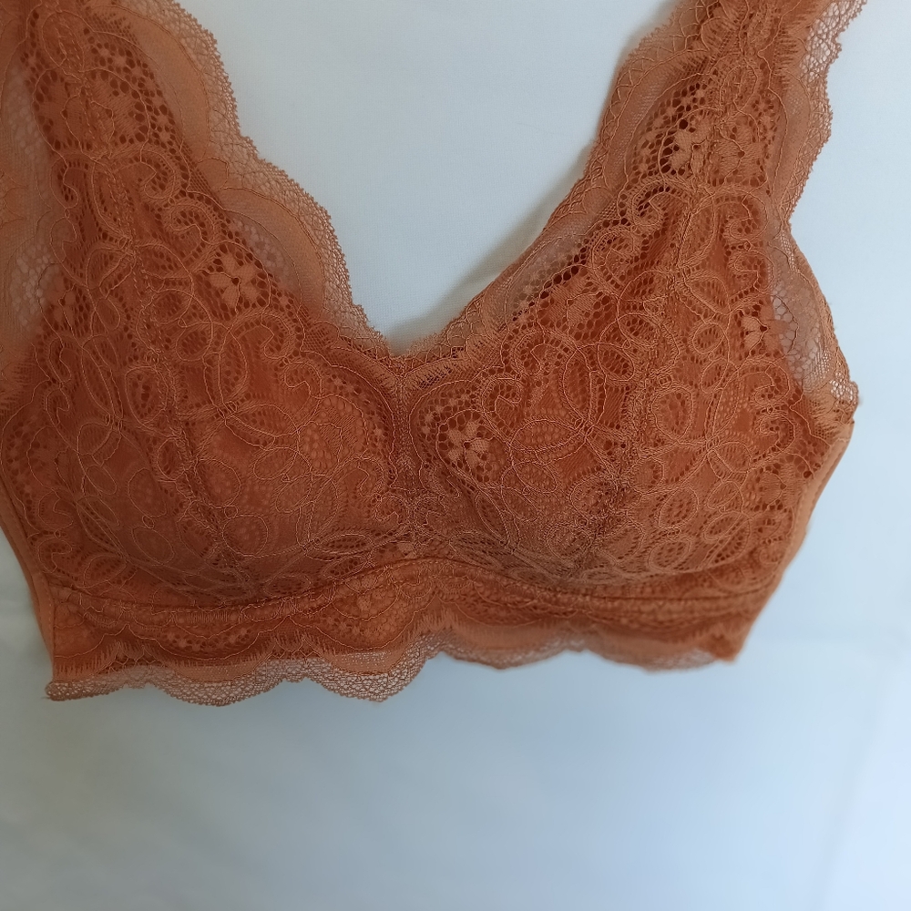 Elegant Brown Lace Bra with Underwire Support